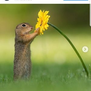 Meet your Posher, Sherrie